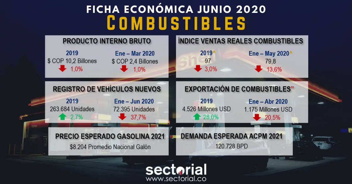 Ficha Combustible 2020