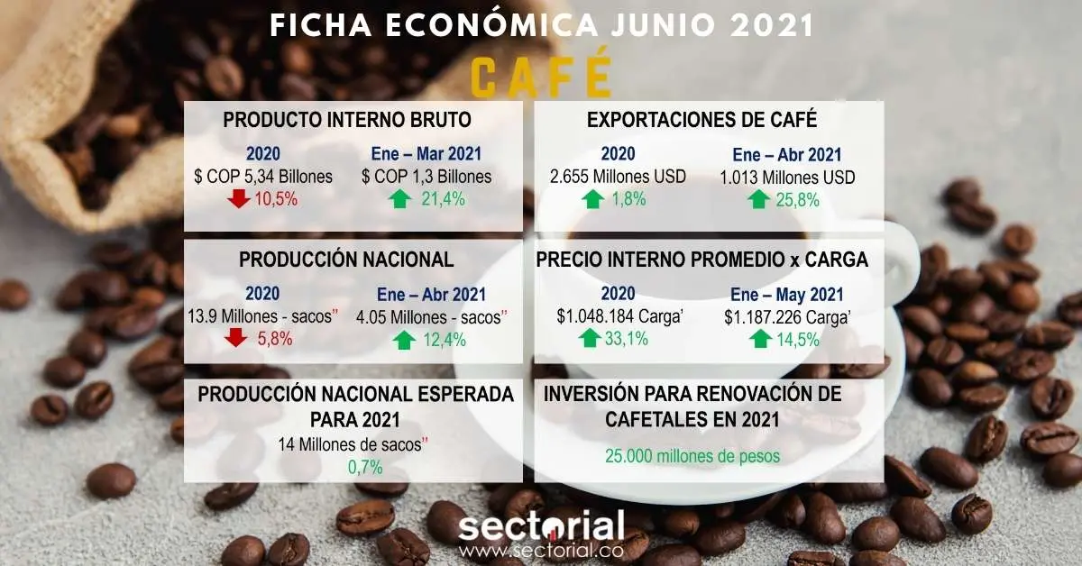Ficha Económica