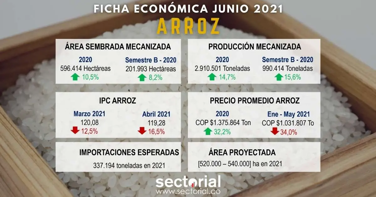 Ficha Económica Arroz