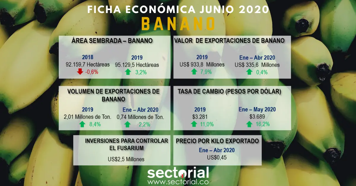 Fichas Banano 2020