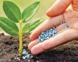 62409f6044459e6ea0e5979ab12ea2f6 Generic