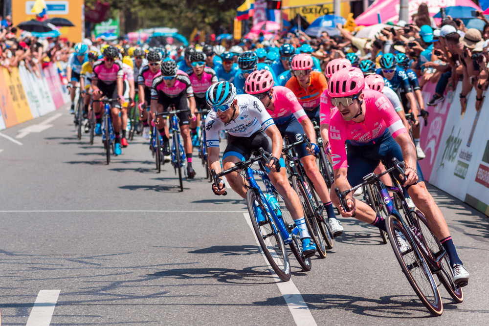 Shutterstock 1315750328