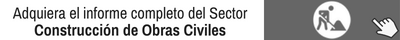 Informe Completo Del Sector Construccion De Obras Civiles