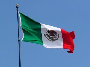 Mexican Flag 707325 M