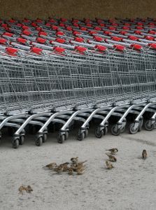 Shopping Cart 1161184 M