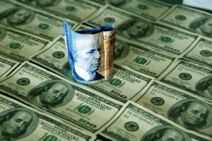 Stranger In A Strange Land 480686 M