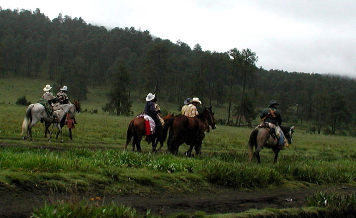 Mexican Cowboys 1253540