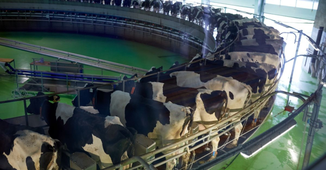 A6700d9ebc831b33e4003379e716a279 L